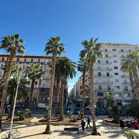 Palm House Apartment *